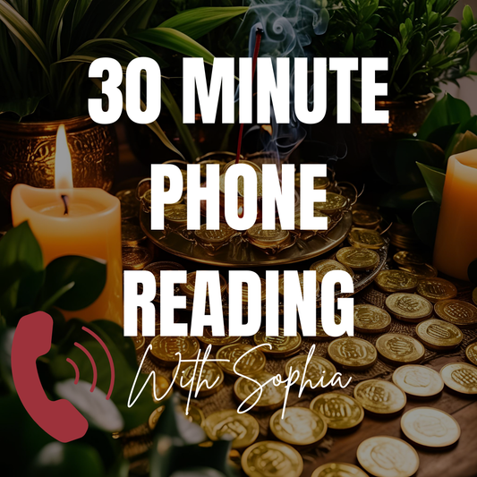 Detailed 30 Minute Reading With Sophia (spiritual guide, spiritual advisor, ask me anything)