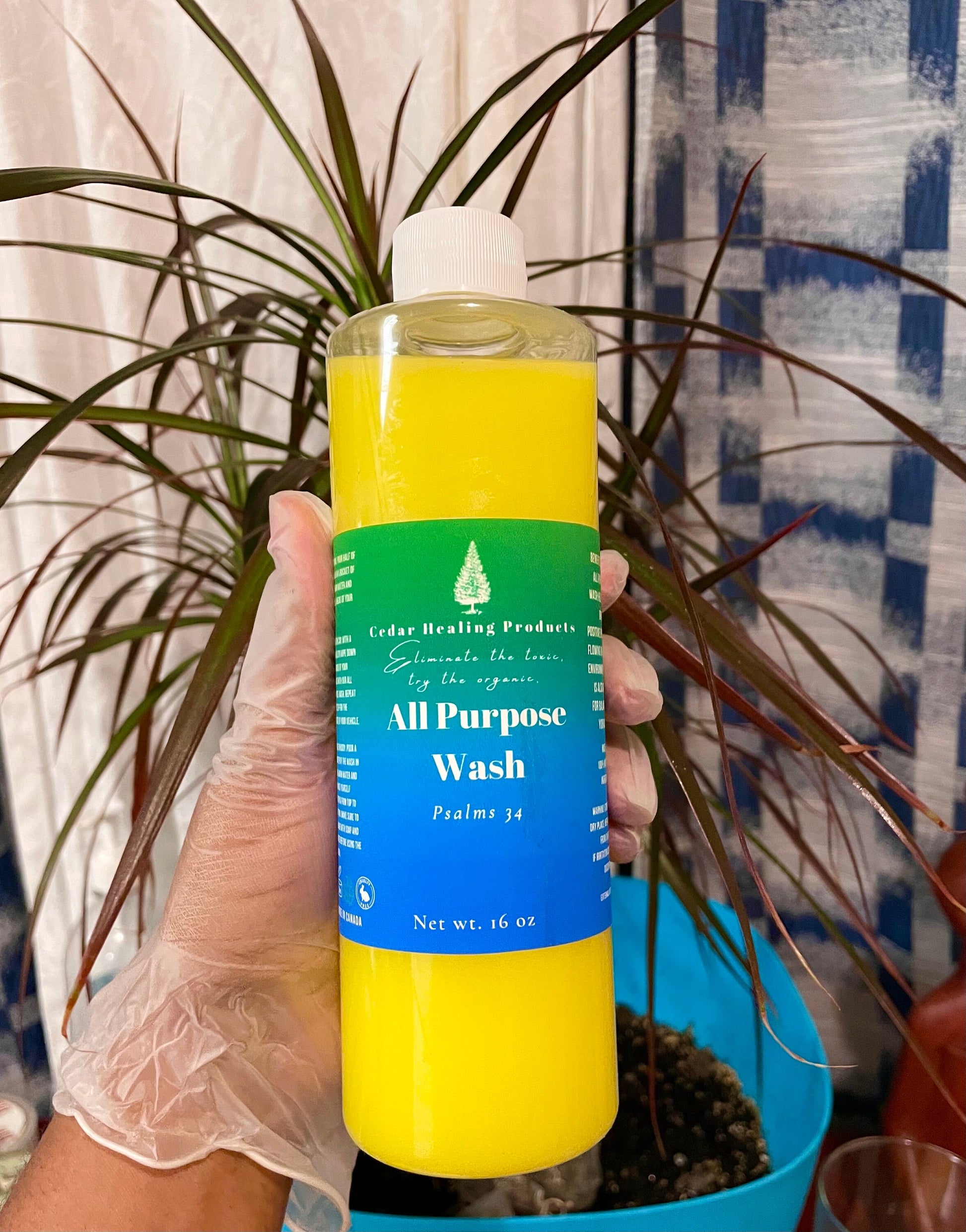 ALL PURPOSE WASH | Spiritual bath + floor wash | For balance, luck and relaxation | Aloe Vera + lavender + mint |