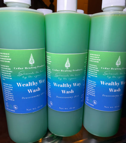 Wealthy Way Wash | Fast Luck | Money drawing | Attract money | Prosperity | Spiritual bath | Sweet juniper berries + Bayberries + Green pear